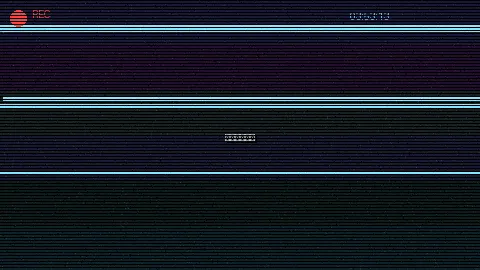 周末随拍记录 - 高洁高芳 原创视频